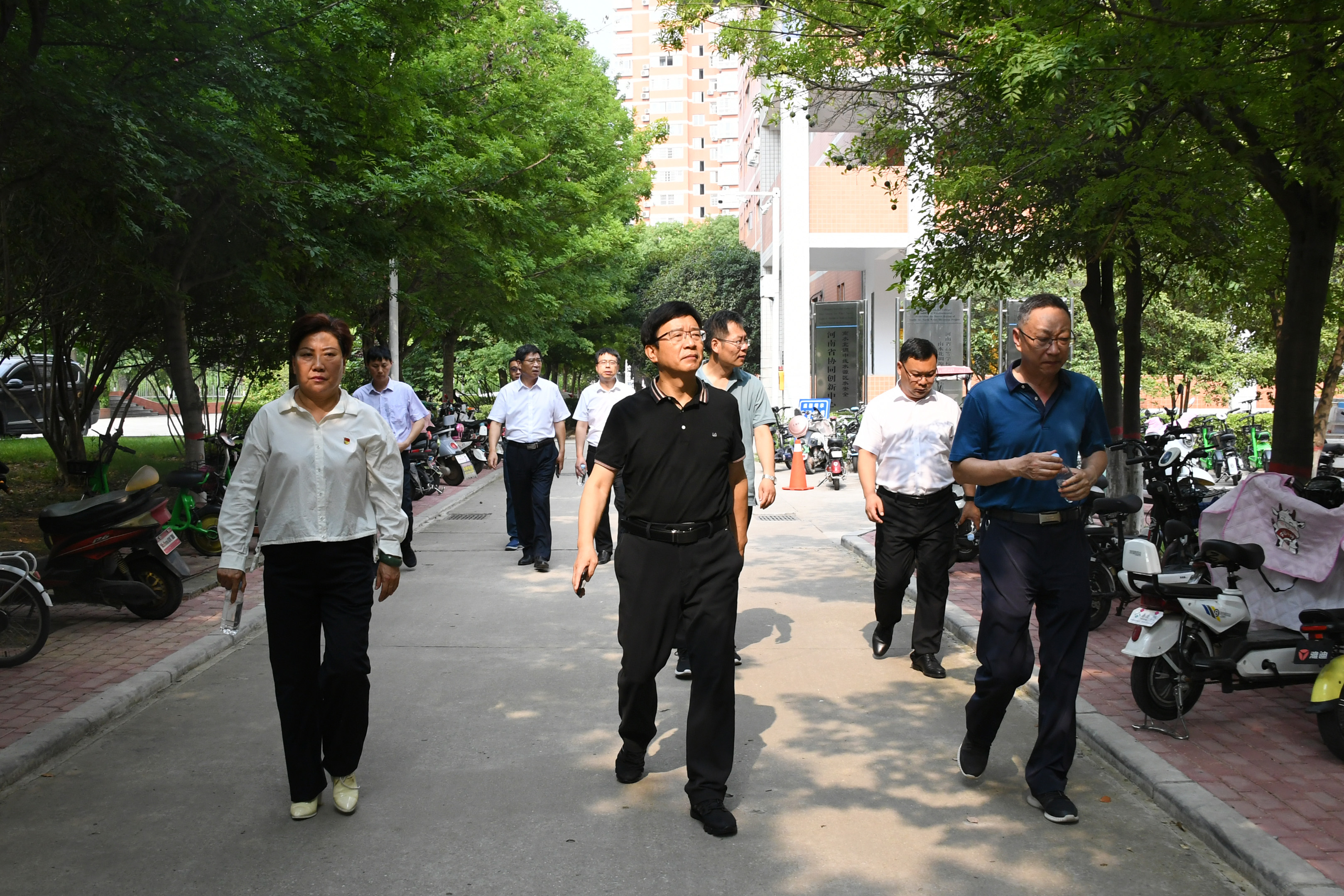 1.实地检查.jpg