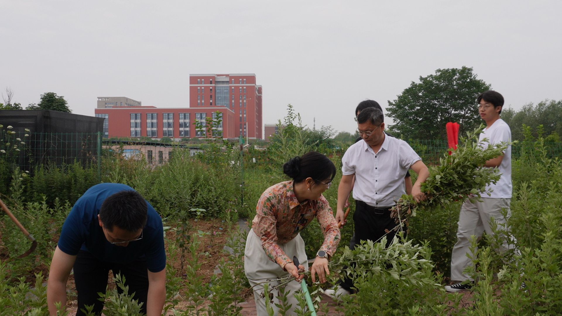 摄影,刘娟,6月17日(5).jpg