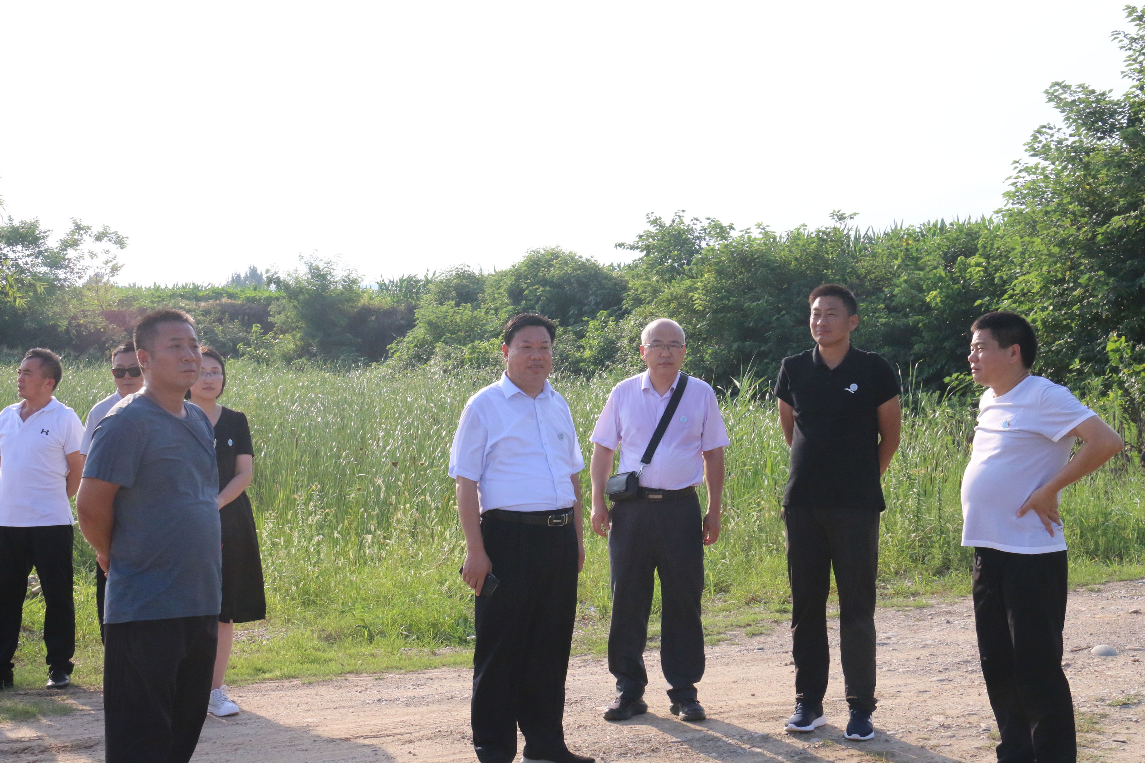 4.我校师生前往丹江湿地保护区调研.jpg