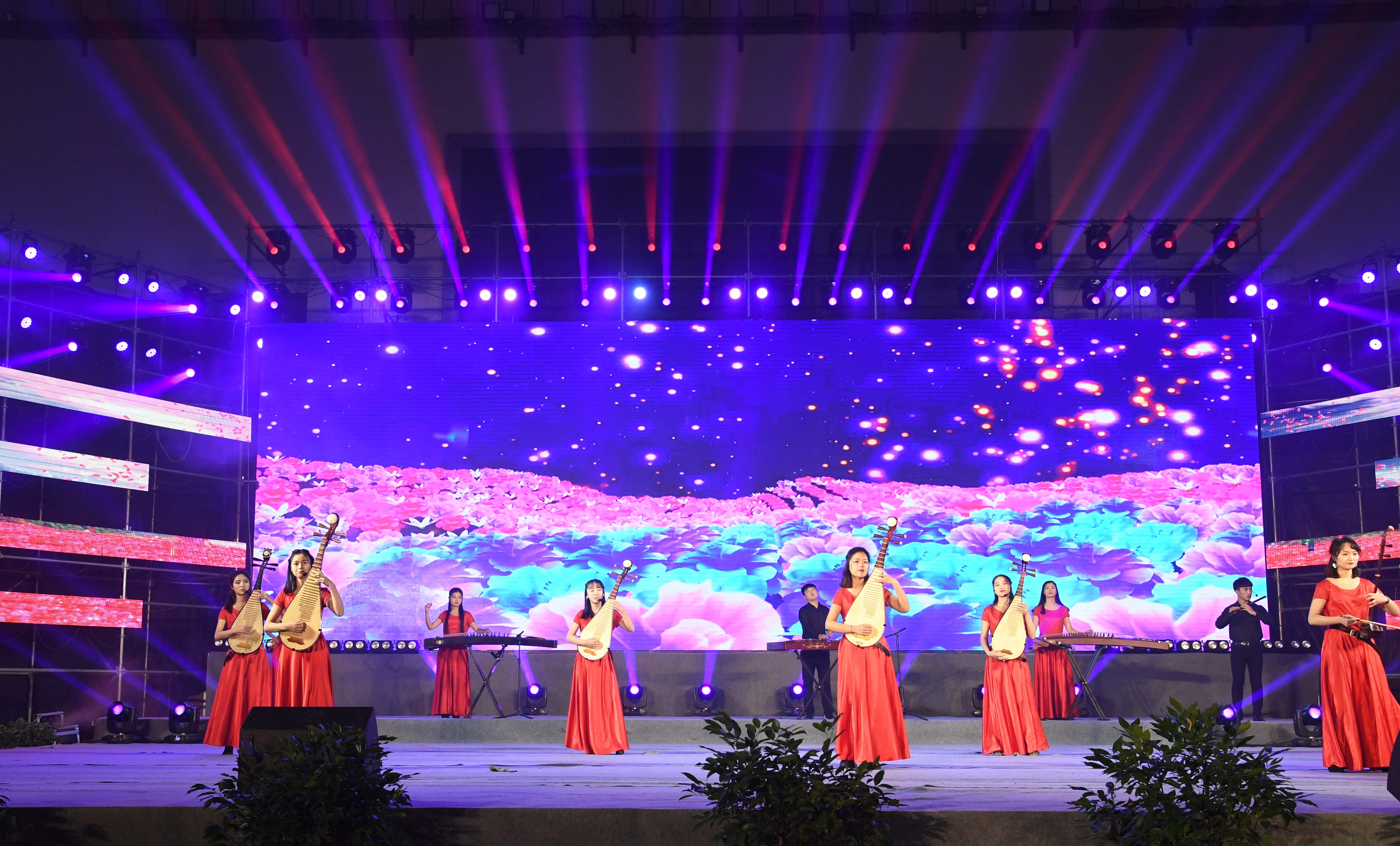 5民族器乐演奏《花儿与少年》.jpg