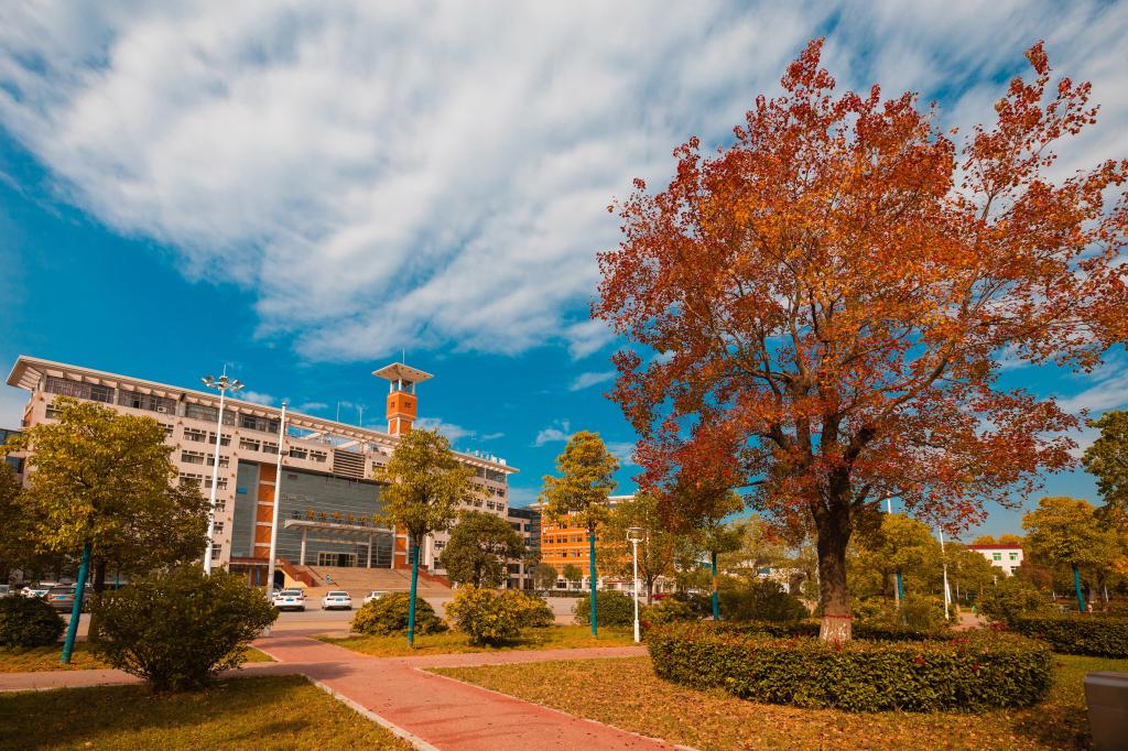 淮南师范学院风景图片