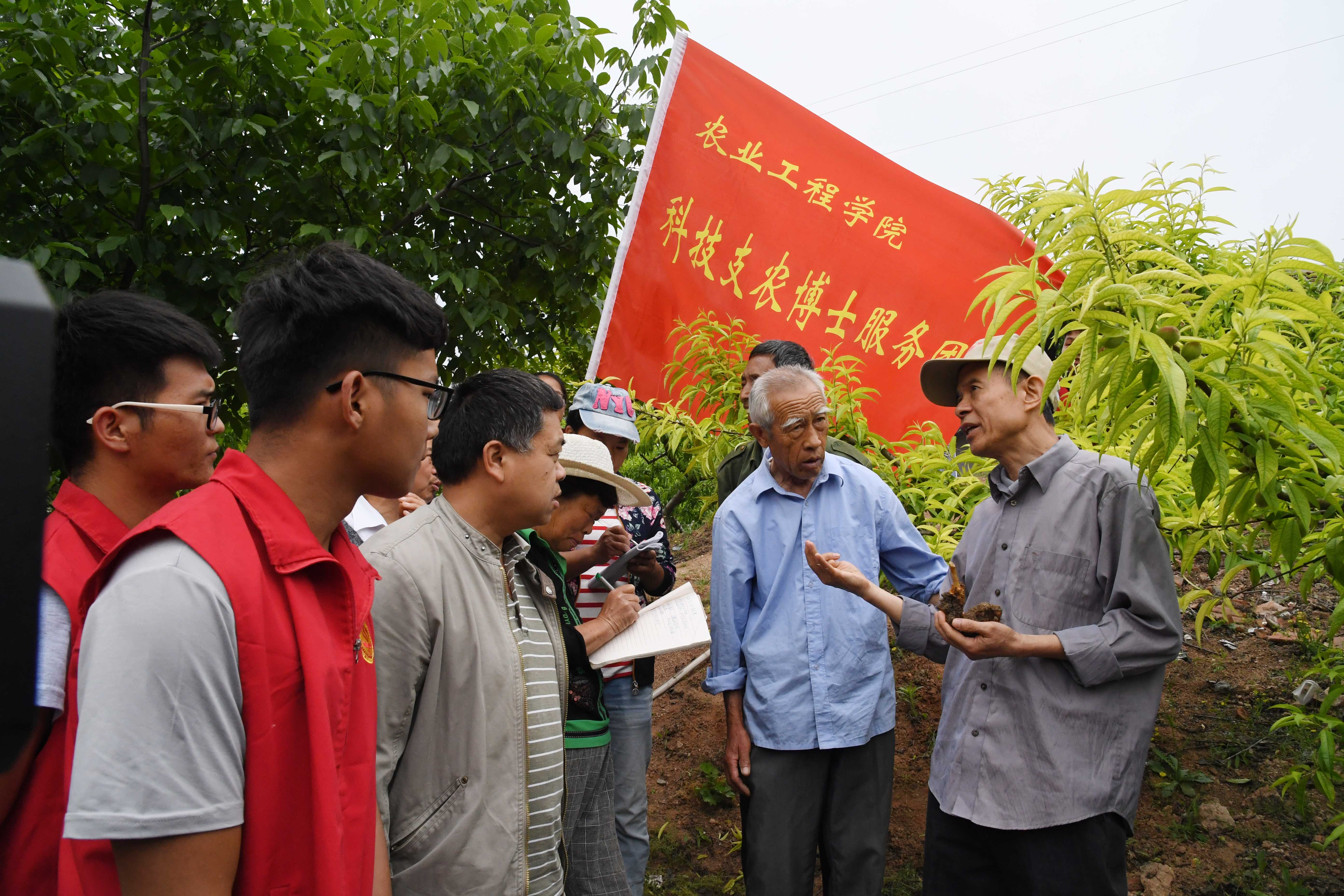 6博士教授志愿服务团现场指导种植技术.JPG
